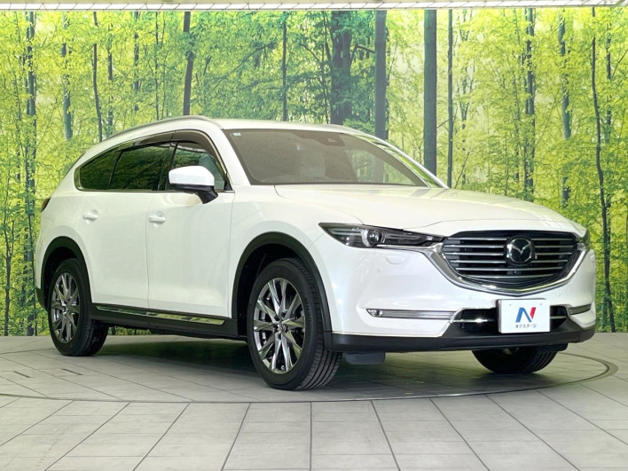 2019 Mazda CX-8 3da-kg2p (UW-69f2a4a4b68eb)[6]