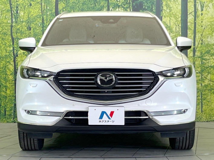 2019 Mazda CX-8 3da-kg2p (UW-69f2a4a4b68eb)[5]