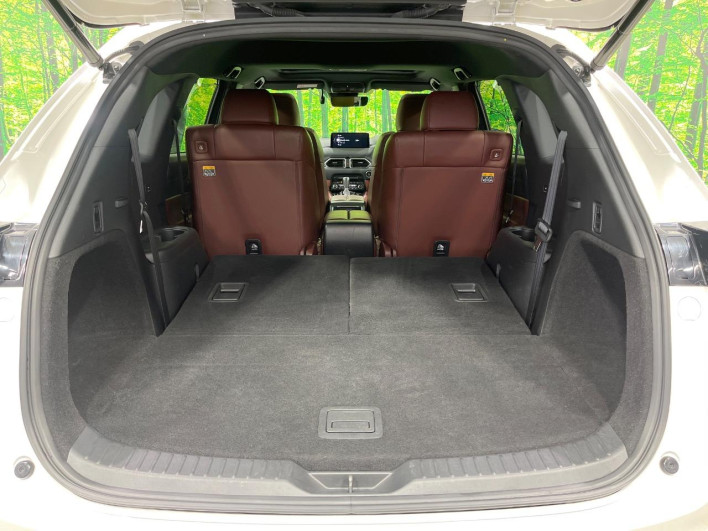 2021 Mazda CX-8 5BA-KG5P (UW-69f2a4a674176)[21]