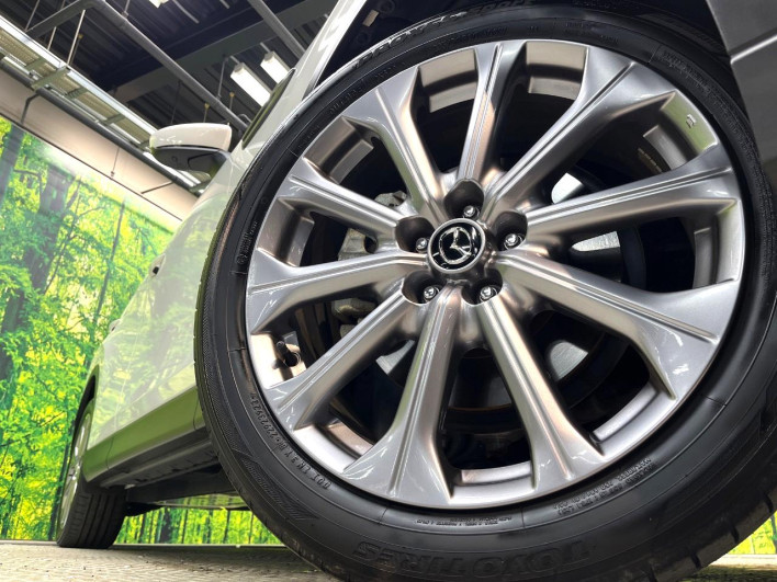 2023 Mazda CX-60 5BA-KH5P (UW-69f2a4a7b9310)[25]