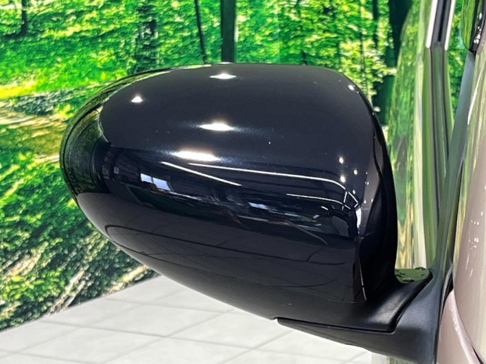 2017 Subaru Pleo DBA-L275F (UW-69f2a4a9e4fab)[5]