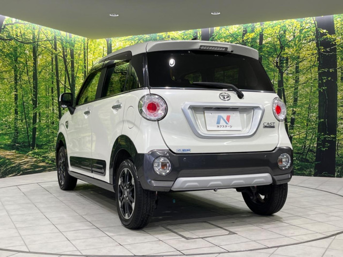 2015 Daihatsu Cast DBA-LA250S (UW-69f2a4b119910)[12]