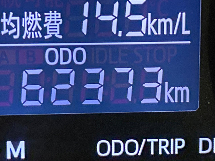 2016 Daihatsu Cast DBA-LA250S (UW-69f2a4b18b63c)[2]