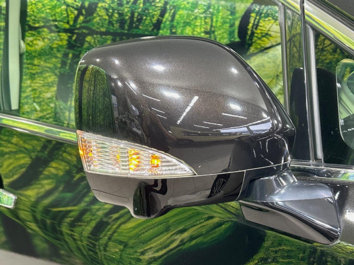 2016 Nissan Elgrand DBA-TE52 (UW-69f2a54bf28cc)[6]