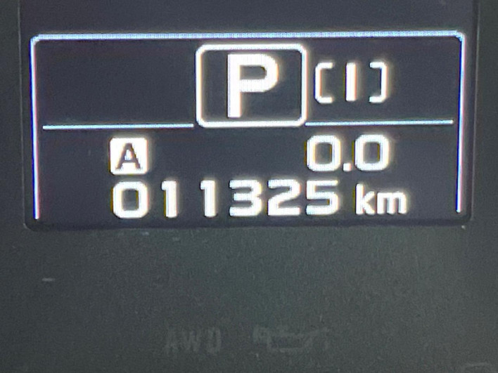 2015 Subaru Levorg DBA-VM4 (UW-69f2a55b2c45f)[2]