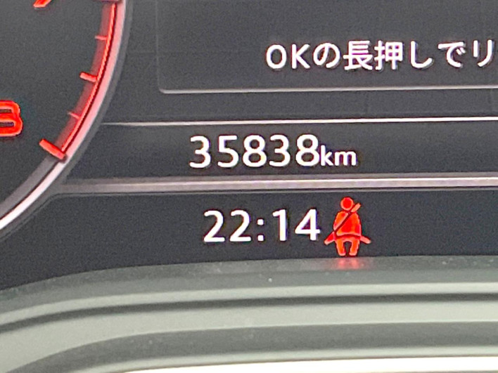 2019 Audi A4 Allroad Quattro ABA-8WCYRA (UW-69f2a56082441)[2]