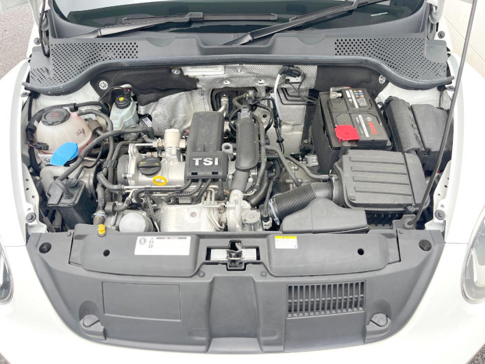 2019 Volkswagen The Beetle DBA-16CBZ (UW-69f2a567d1c5c)[5]