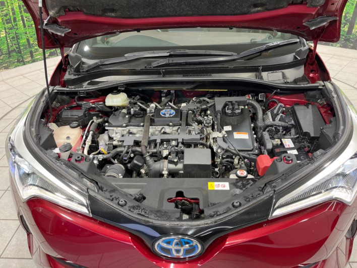 2018 Toyota C-HR DAA-ZYX10 (UW-69f2a59d94afc)[16]