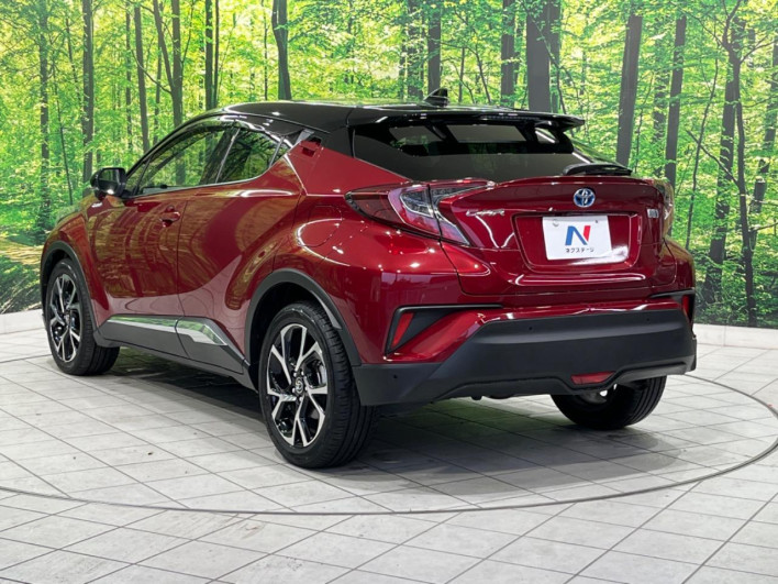 2018 Toyota C-HR DAA-ZYX10 (UW-69f2a59d94afc)[10]