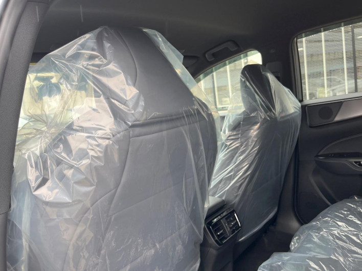 2023 Lexus NX 6AA-AAZH20 (UW-69f495326262c)[26]