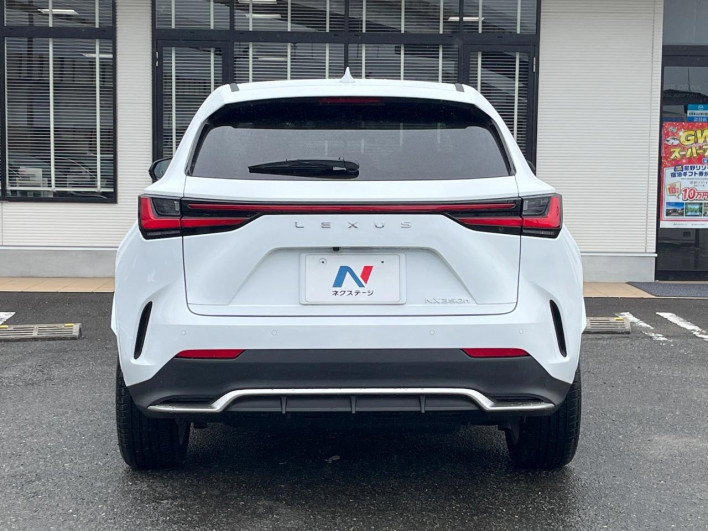 2023 Lexus NX 6AA-AAZH20 (UW-69f495326262c)[29]