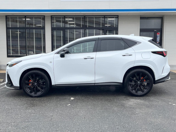 2023 Lexus NX 6AA-AAZH20 (UW-69f495326262c)[23]