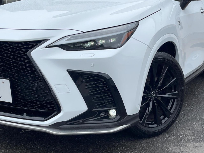 2023 Lexus NX 6AA-AAZH20 (UW-69f495326262c)[14]