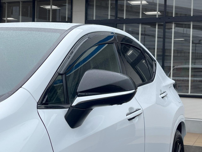 2023 Lexus NX 6AA-AAZH20 (UW-69f495326262c)[13]