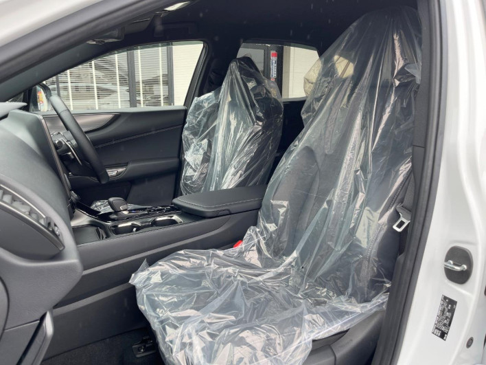 2023 Lexus NX 6AA-AAZH20 (UW-69f495326262c)[25]