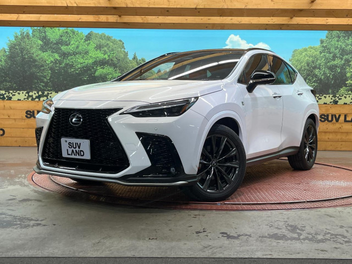 2023 Lexus NX 6AA-AAZH20 (UW-69f495326bc56)[0]