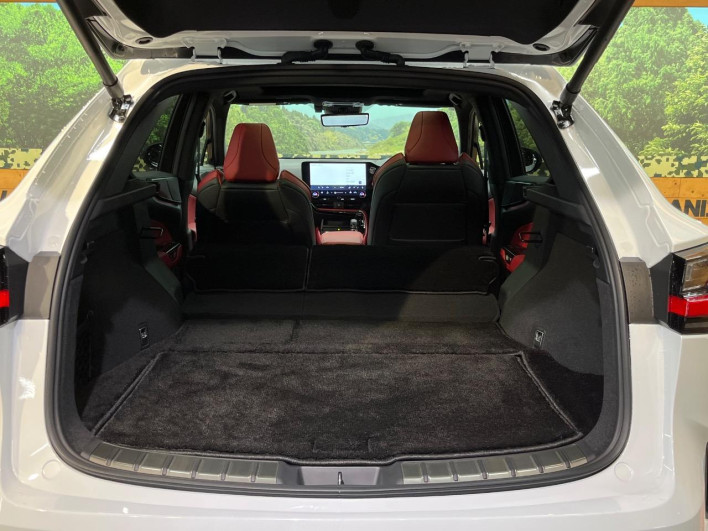 2023 Lexus NX 6AA-AAZH20 (UW-69f495326bc56)[9]