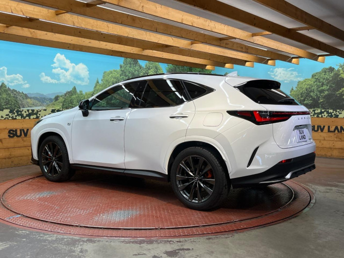 2023 Lexus NX 6AA-AAZH20 (UW-69f495326bc56)[6]
