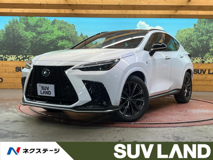 2023 Lexus NX 6AA-AAZH20 (UW-69f495326bc56)[3]