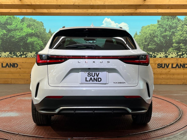 2023 Lexus NX 6AA-AAZH20 (UW-69f495326bc56)[5]