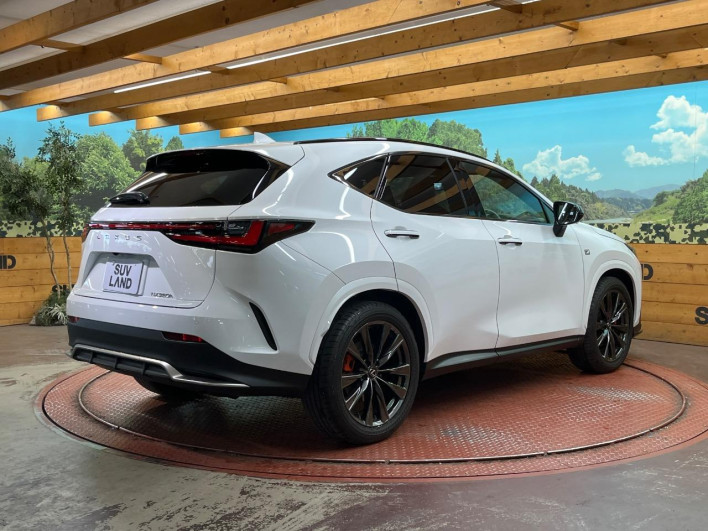 2023 Lexus NX 6AA-AAZH20 (UW-69f495326bc56)[4]
