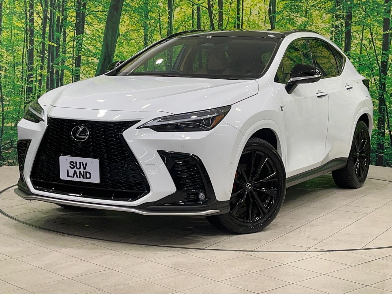 2024 Lexus NX 6AA-AAZH25
