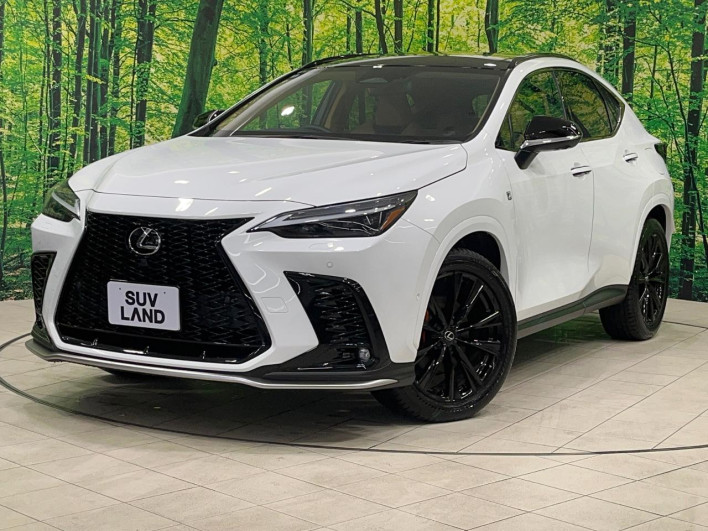 2024 Lexus NX 6AA-AAZH25 (UW-69f495327d0d6)[0]