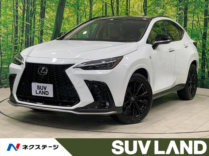 2024 Lexus NX 6AA-AAZH25 (UW-69f495327d0d6)[3]