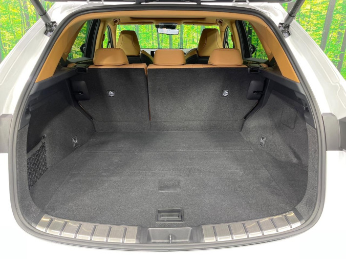 2024 Lexus NX 6AA-AAZH25 (UW-69f495327d0d6)[19]
