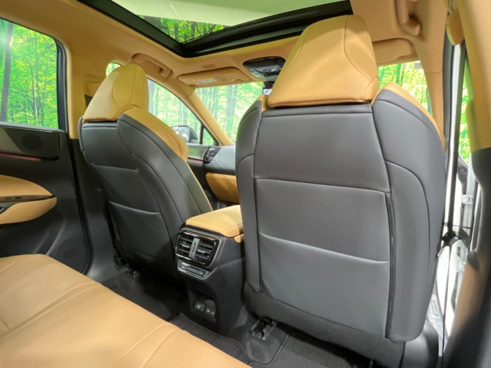2024 Lexus NX 6AA-AAZH25 (UW-69f495327d0d6)[26]