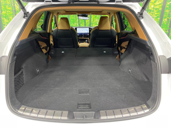2024 Lexus NX 6AA-AAZH25 (UW-69f495327d0d6)[20]