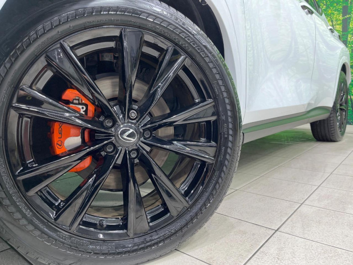 2024 Lexus NX 6AA-AAZH25 (UW-69f495327d0d6)[4]