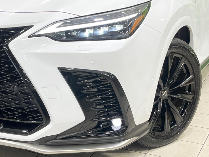 2024 Lexus NX 6AA-AAZH25 (UW-69f495327d0d6)[8]