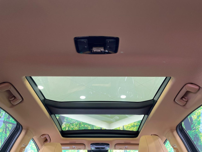 2024 Lexus NX 6AA-AAZH25 (UW-69f495327d0d6)[22]