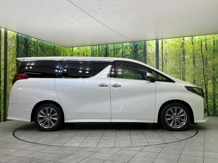 2017 Toyota Alphard DBA-AGH30W (UW-69f4953490449)[7]