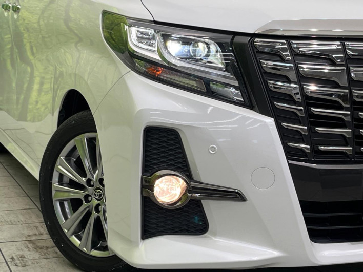 2017 Toyota Alphard DBA-AGH30W (UW-69f4953490449)[13]