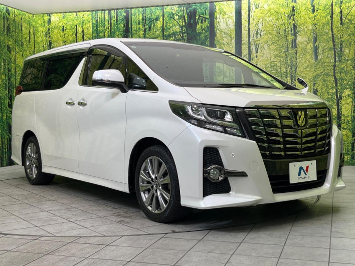 2017 Toyota Alphard DBA-AGH30W (UW-69f4953490449)[6]