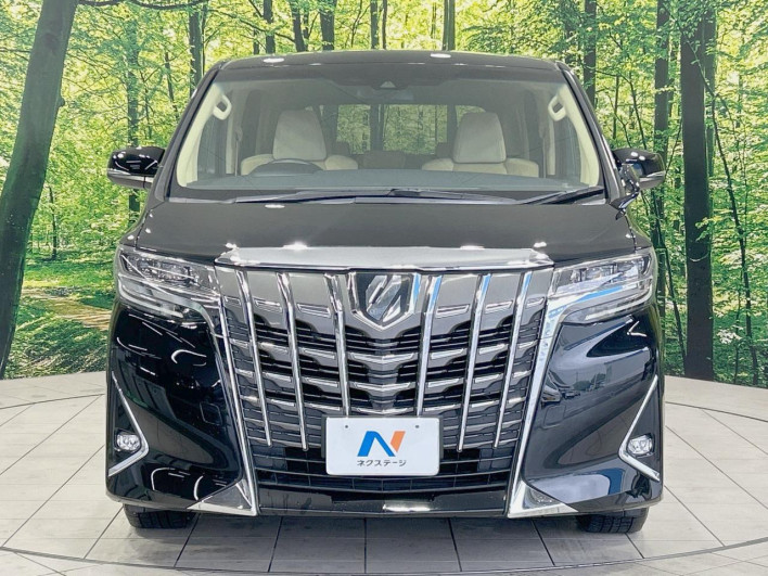 2018 Toyota Alphard DBA-AGH30W (UW-69f49536323f2)[14]