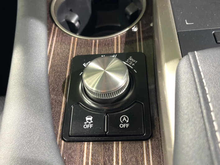 2022 Lexus RX 3BA-AGL20W (UW-69f4953c4db40)[20]