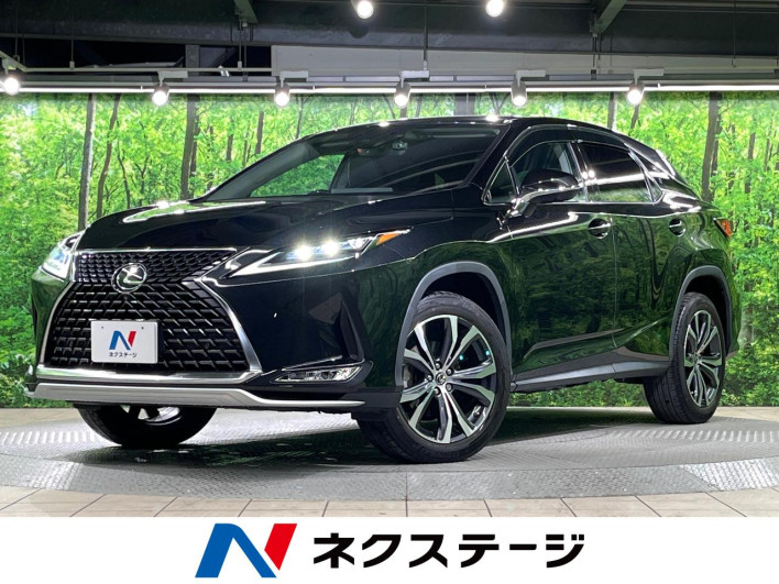 2022 Lexus RX 3BA-AGL20W (UW-69f4953c4db40)[3]