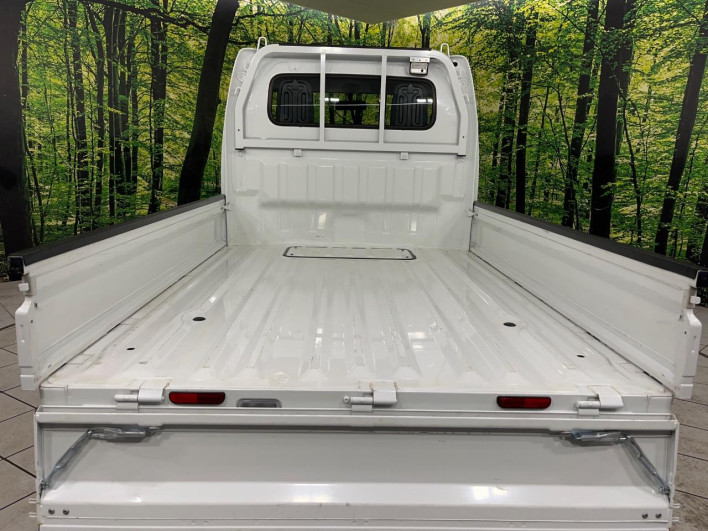 2022 Suzuki Carry Truck 3BD-DA16T (UW-69f4956ce7cce)[29]