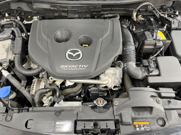 2015 Mazda Demio LDA-DJ5FS (UW-69f4956f7c63a)[4]