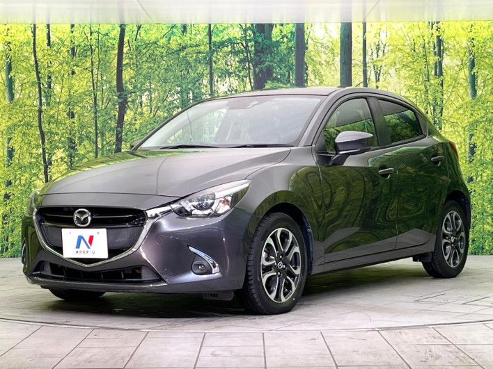2017 Mazda Demio LDA-DJ5FS (UW-69f495707400c)[12]