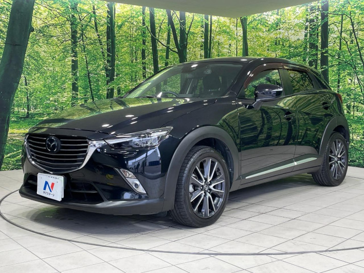 2017 Mazda CX-3 LDA-DK5AW (UW-69f4957173d8a)[9]