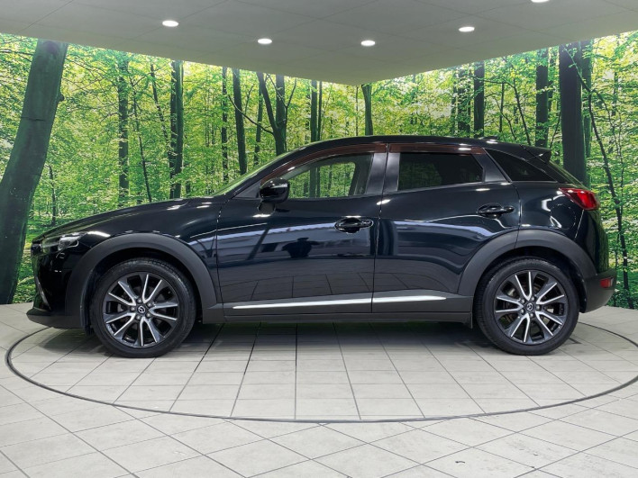 2017 Mazda CX-3 LDA-DK5AW (UW-69f4957173d8a)[17]