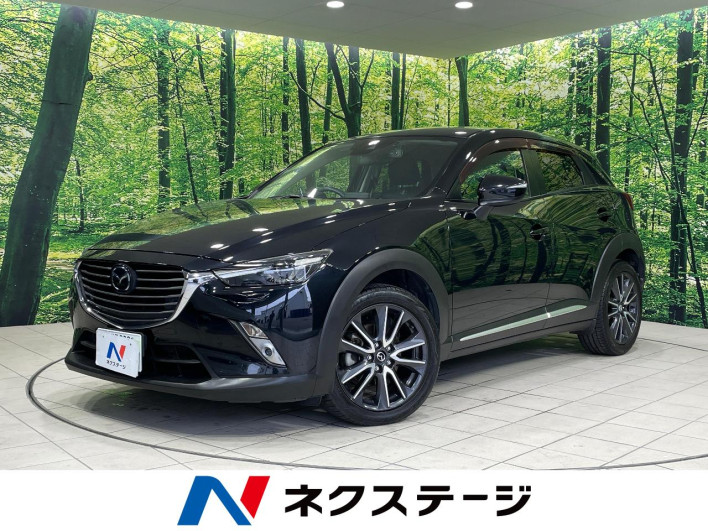 2017 Mazda CX-3 LDA-DK5AW (UW-69f4957173d8a)[3]