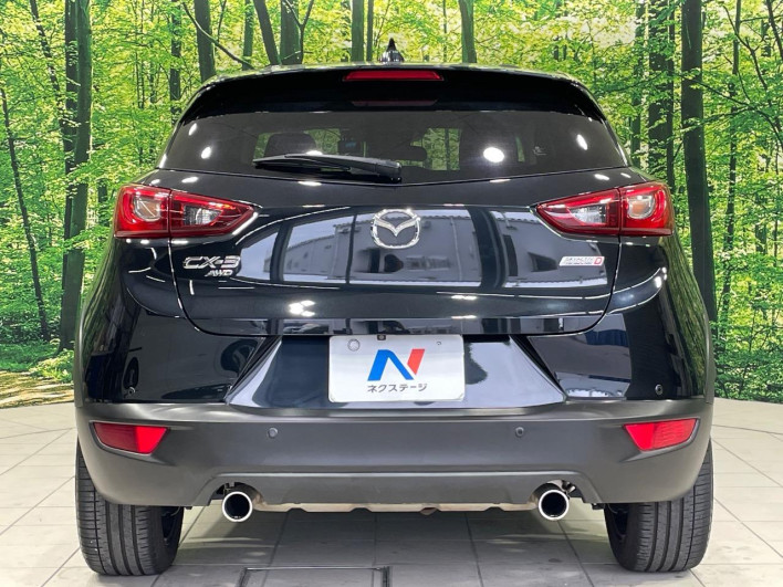 2017 Mazda CX-3 LDA-DK5AW (UW-69f4957173d8a)[19]