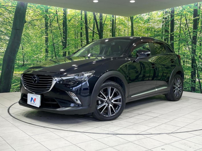 2017 Mazda CX-3 LDA-DK5AW (UW-69f4957173d8a)[0]