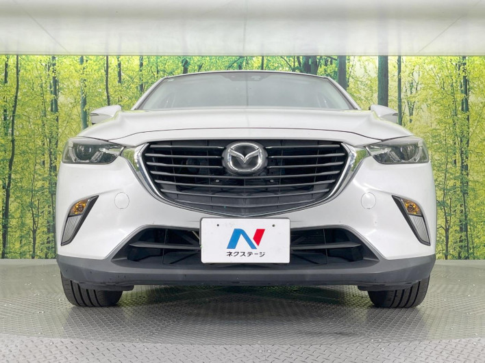 2015 Mazda CX-3 LDA-DK5FW (UW-69f4957185851)[13]