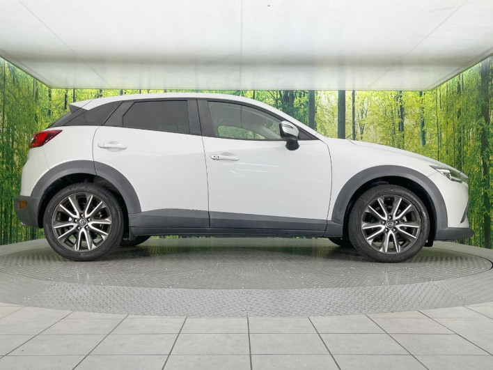 2015 Mazda CX-3 LDA-DK5FW (UW-69f4957185851)[19]